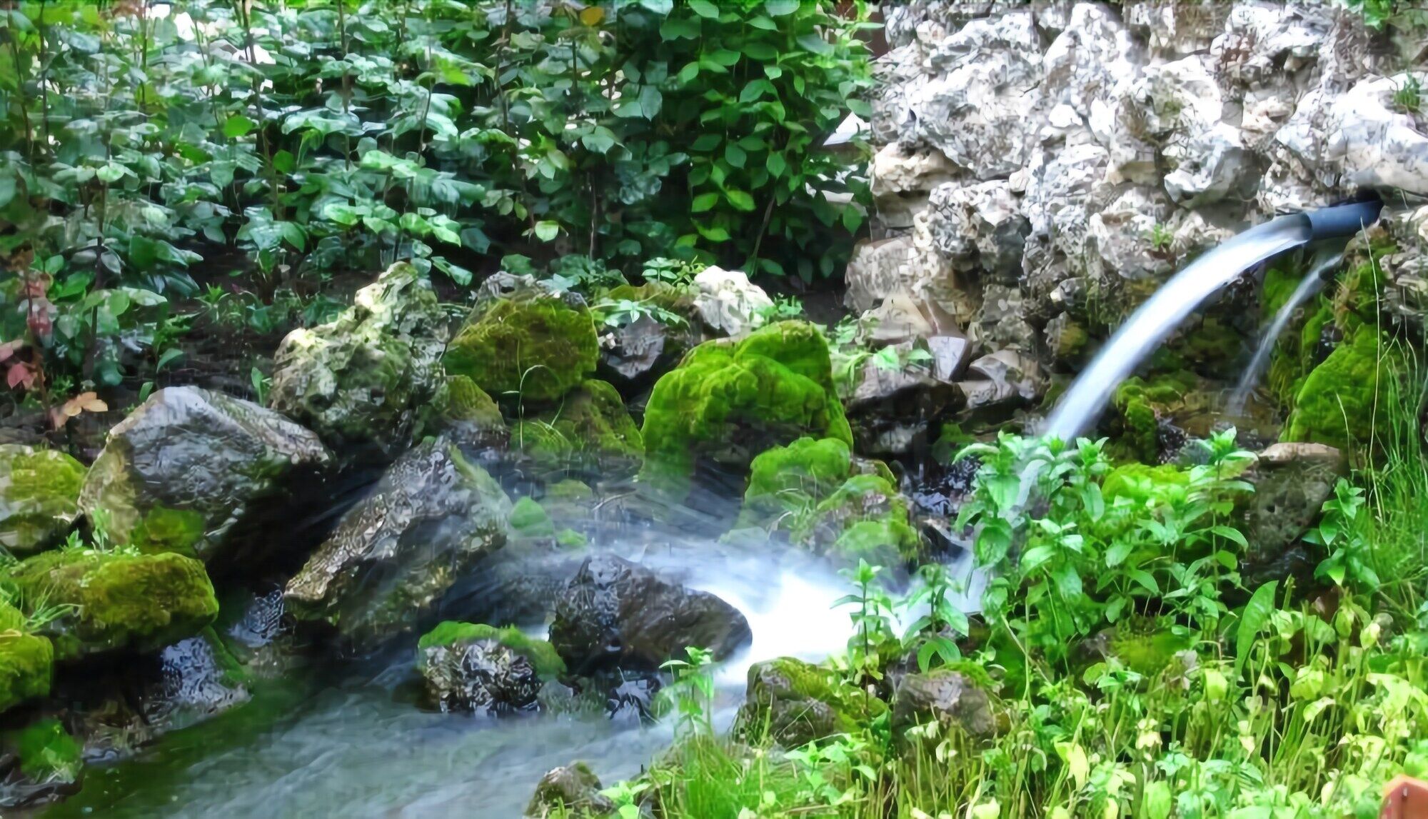 Hotel Izvora Кранево Экстерьер фото